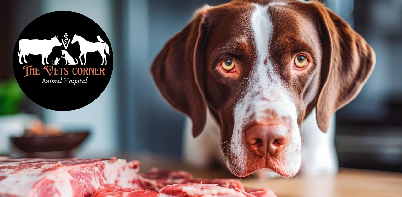 Can Dogs Eat Raw Chicken?