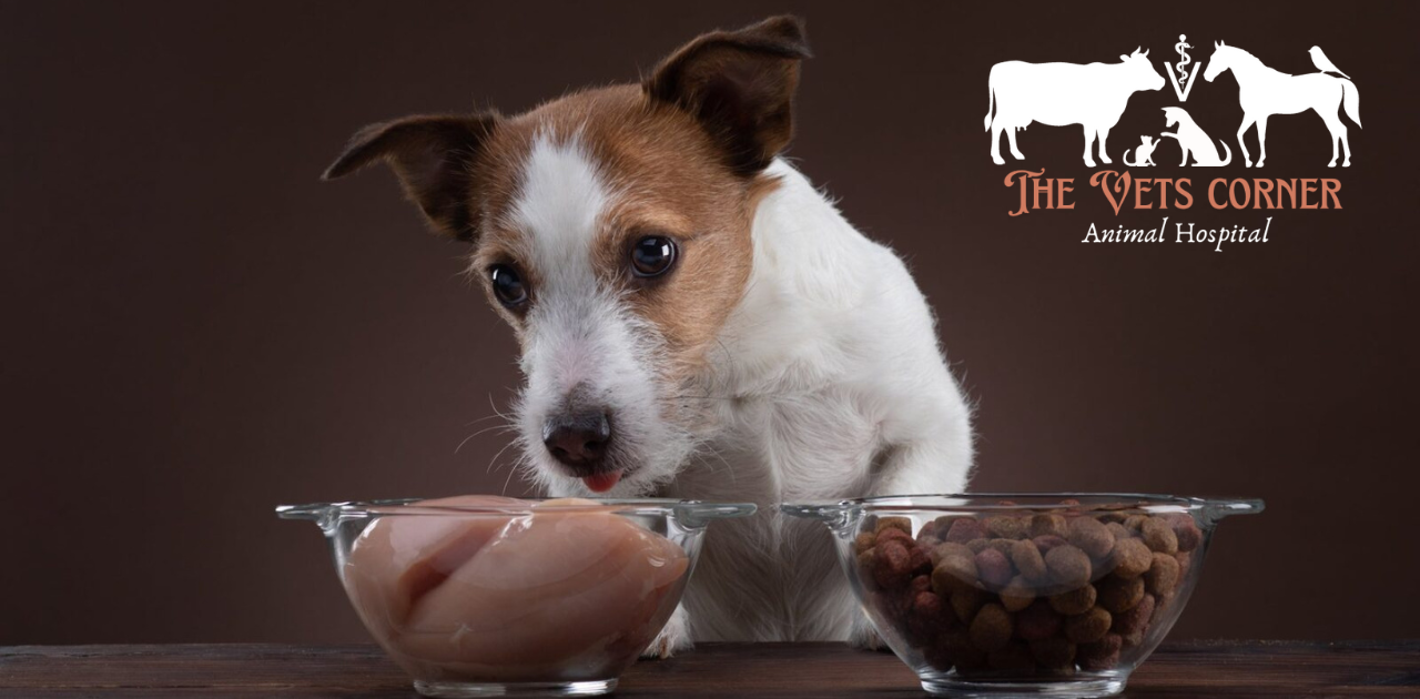 Can Dogs Eat Raw Chicken?