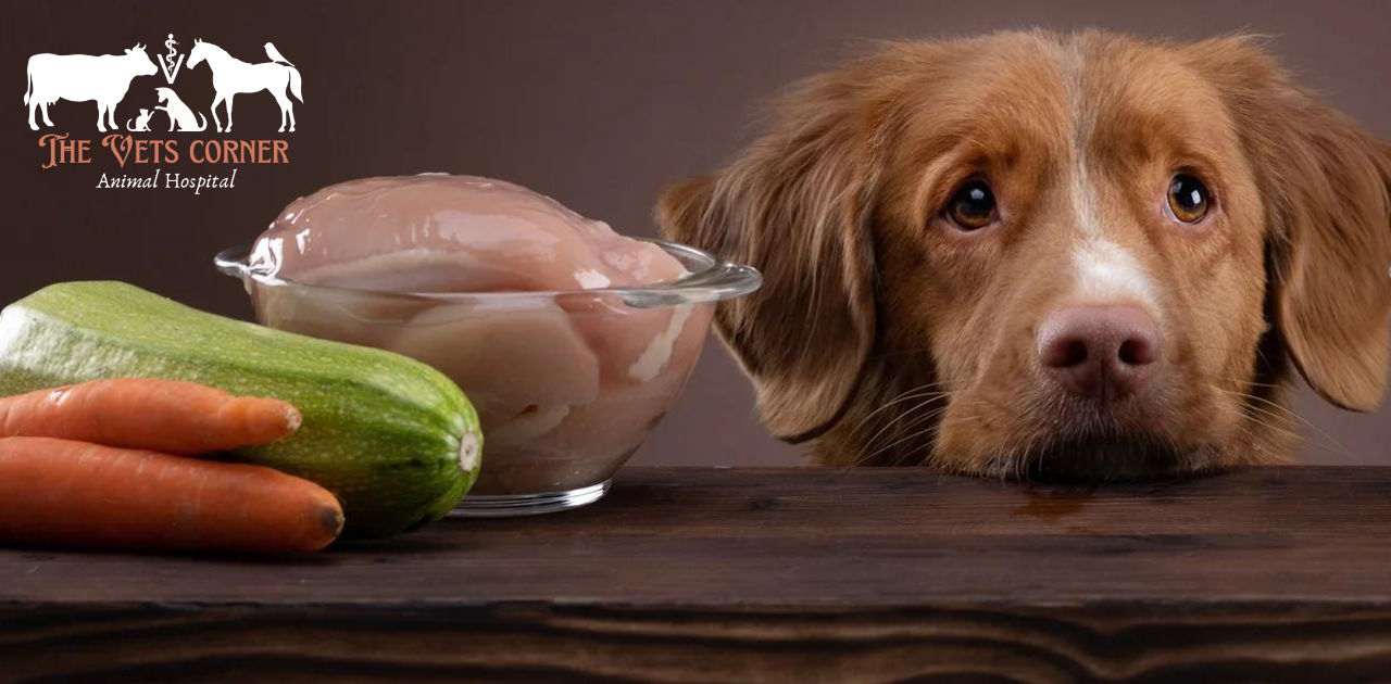 Can Dogs Eat Raw Chicken?