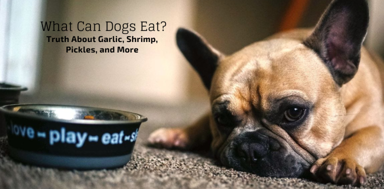 what can dogs eat